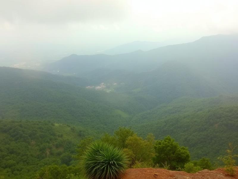 Hill Stations